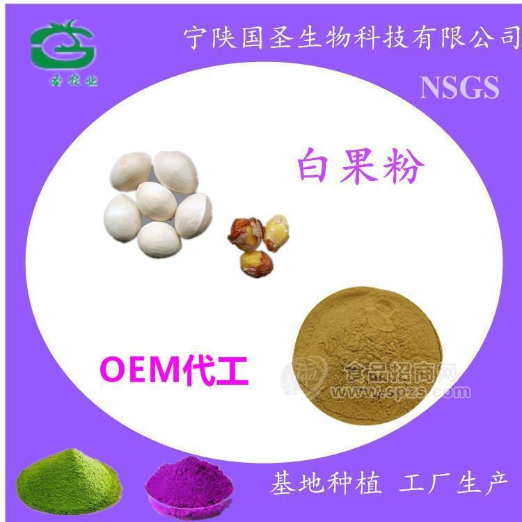 供应 白果提取物 白果粉 白果浸膏 厂家现货