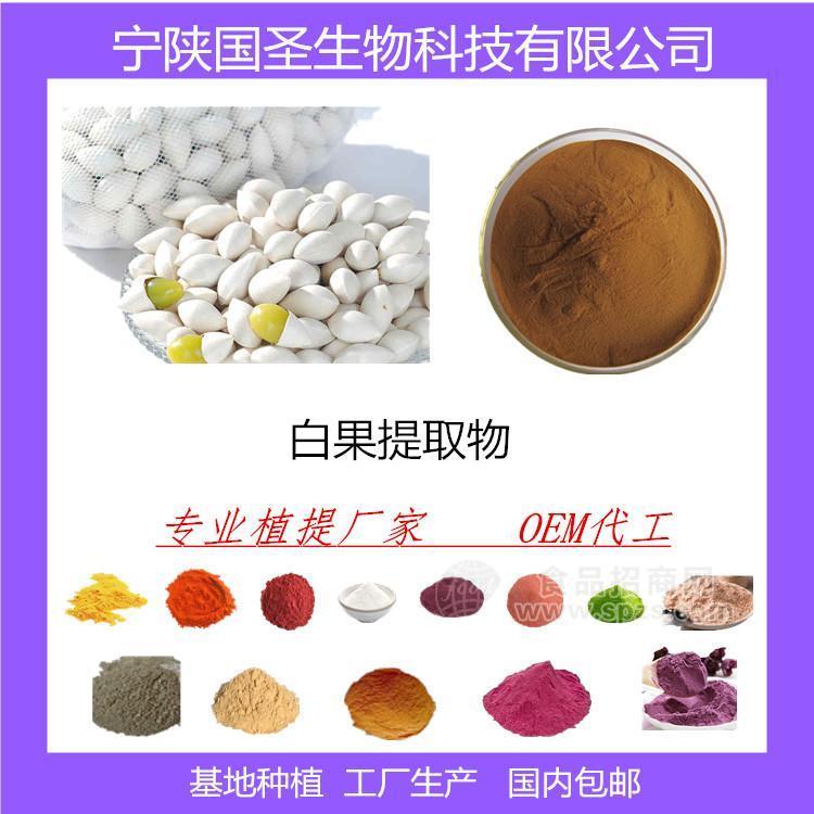 白果提取物 白果粉  优质食材 厂家现货