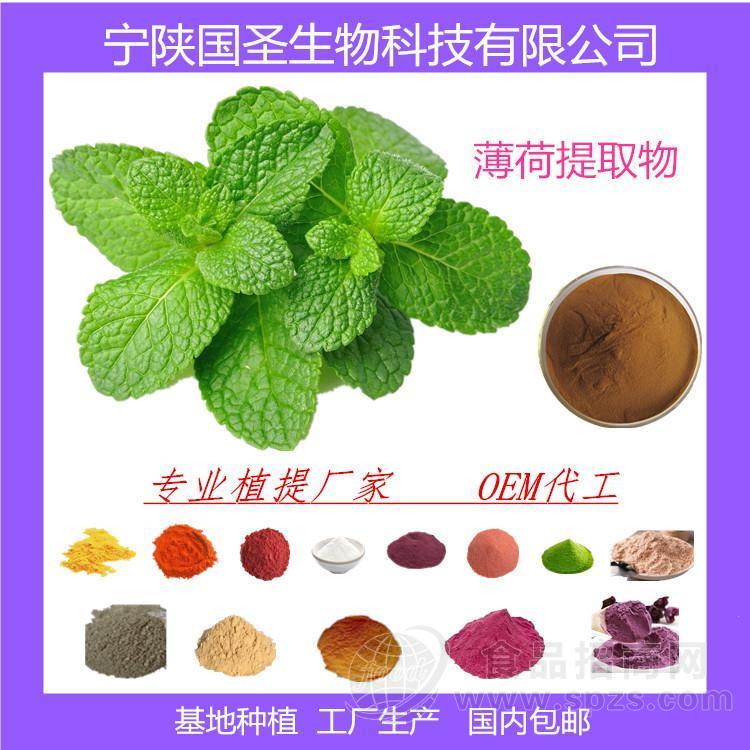 宁陕国圣供应薄荷提取物 薄荷浓缩汁 厂家现货 包邮