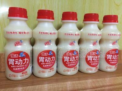 胃動力乳酸菌340ml