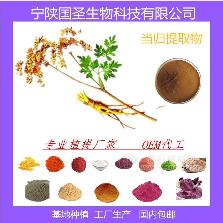 当归提取物  当归提取物生产厂家 现货 包邮