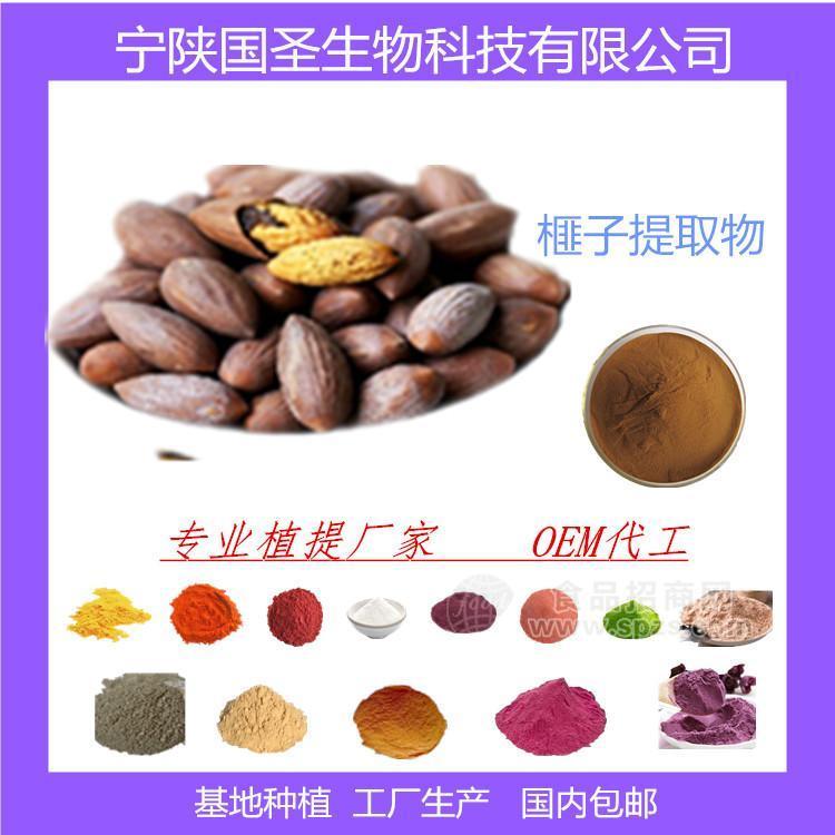 榧子提取物 优质原料 厂家直供