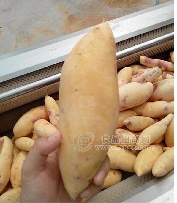 供应湖南红薯清洗机