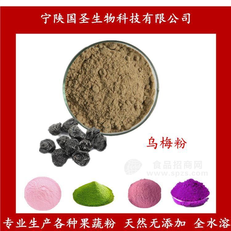 供应 乌梅粉 乌梅浓缩汁粉 厂家现货