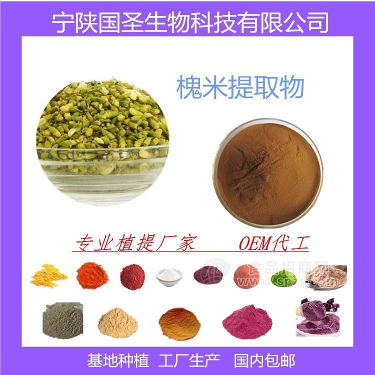 槐米提取物  槐米浓缩汁 优质原料生产 品质保障