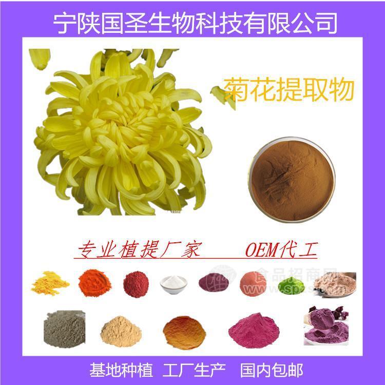 菊花提取物 濃縮汁 濃縮粉 廠(chǎng)家現(xiàn)貨