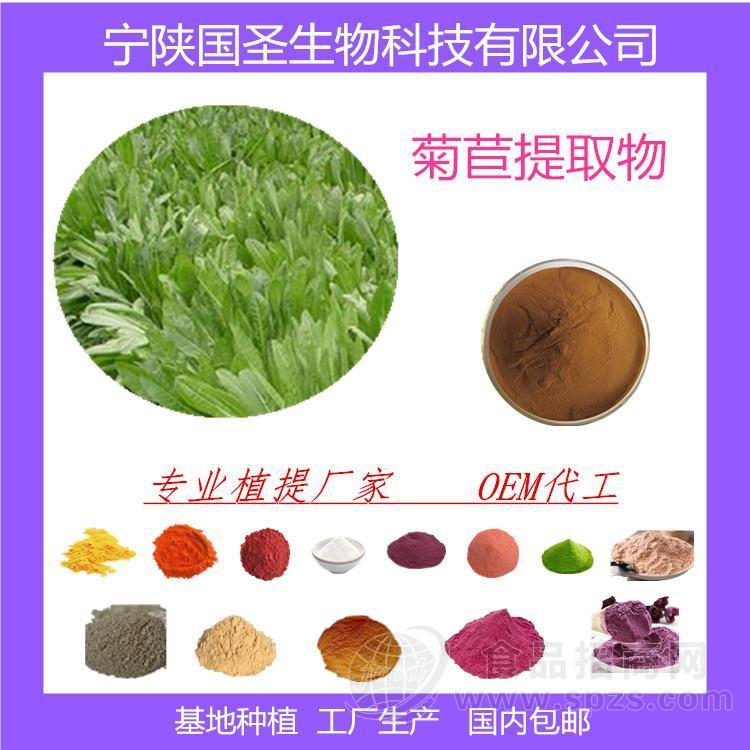 菊苣提取物 浓缩汁 现货