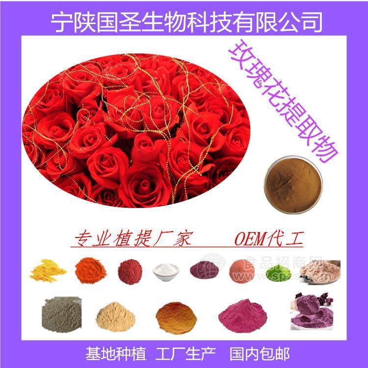 玫瑰花提取物 浓缩粉 浓缩汁 易溶于水 厂家直供