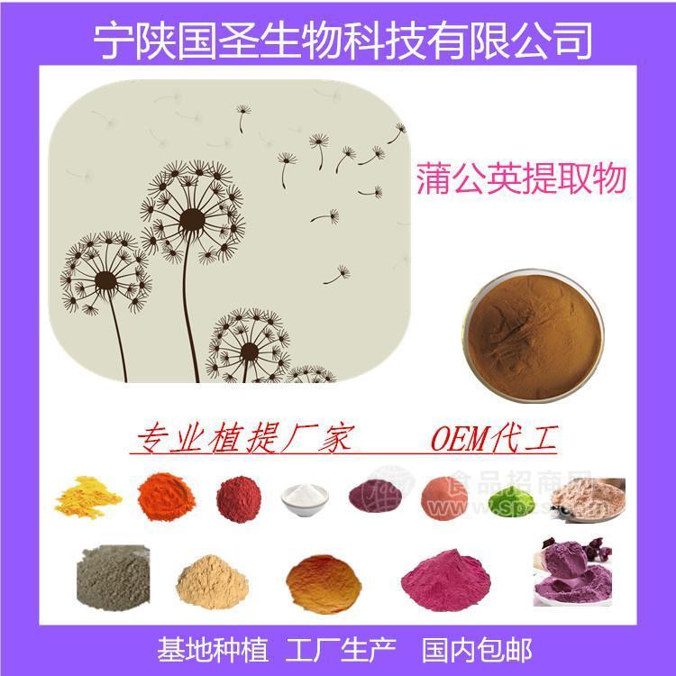 蒲公英提取物 濃縮粉 速溶粉 易溶于水 廠家直供