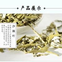 沙棘叶
