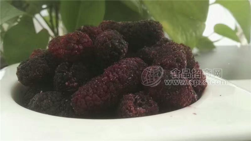 杞動(dòng)能量 廠(chǎng)家批發(fā)速凍桑葚招商