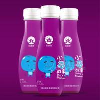 劲逮逮小莓故事饮料果汁饮料330ml