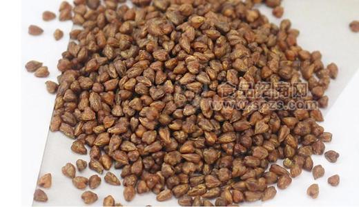 珍享 苦荞茶 麦香1号 荞麦茶 整颗粒苦荞茶