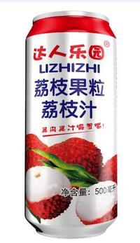 達(dá)人樂(lè)園荔枝果粒荔枝汁500ml