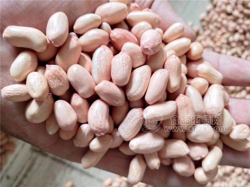 花生酱作用 沈阳花生酱厂家批发价格