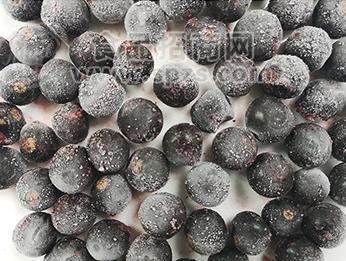 爱必施进口黑加仑冻果IQF