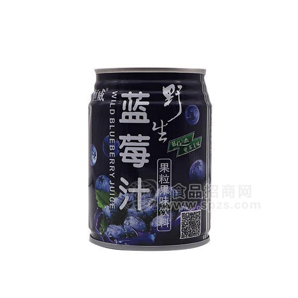 恒威 野生蓝莓汁 果粒果味饮料招商