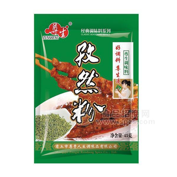 尊生孜然粉固态复合调味料40g