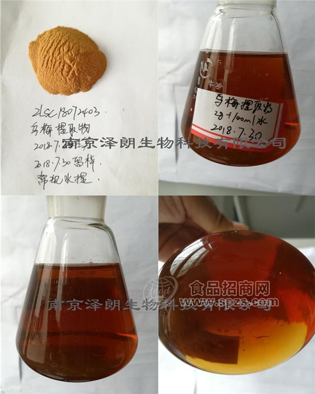 烏梅提取物/烏梅粉 代加工固體飲料 液體飲料 OEM代加工