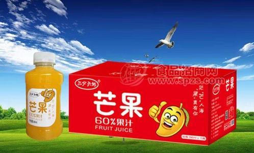 塑料瓶芒果汁380毫升招商