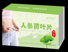 人参荷叶片招商