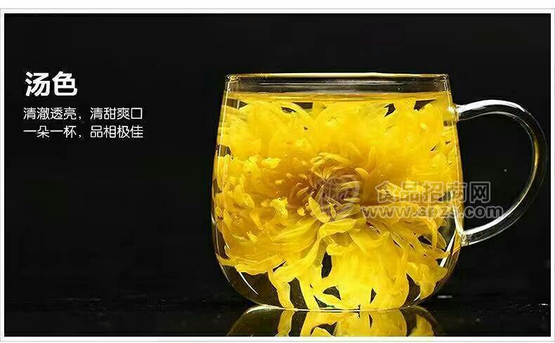 金絲皇菊