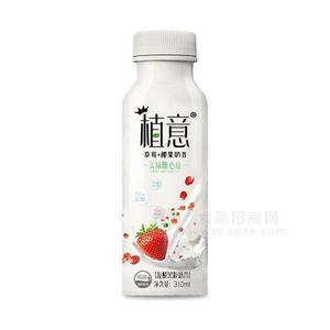 植意草莓+椰果奶昔發(fā)酵果粒奶昔飲品310ml