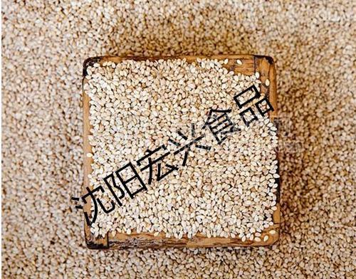 养生必备黑芝麻 大连黑芝麻厂家批发价格