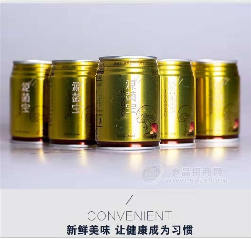 源菌寶植物維生素能量飲料245ml