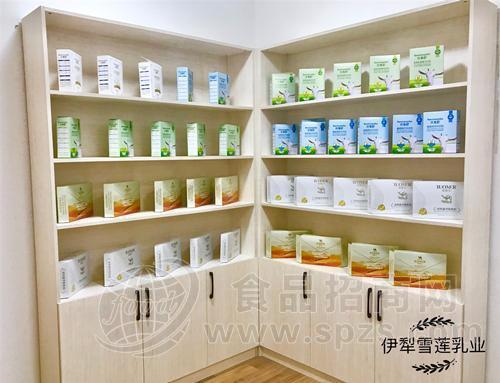 伊犁雪莲乳业全脂驼乳粉厂家直供招商