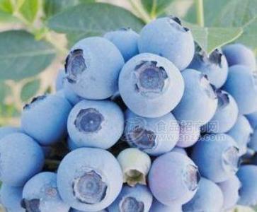 蓝莓叶黄素固体饮料代加工企业