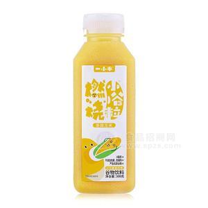 一小半燃燒小谷粒香甜玉米谷物飲料含有膳食纖維植物飲料300g