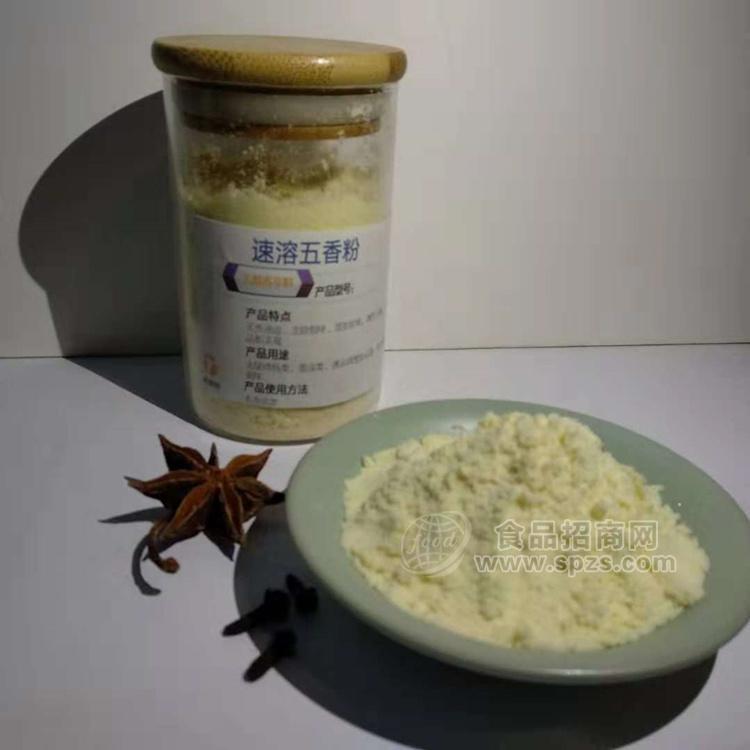 厂家直销 复合调味料天然香辛料食品加工五香粉速溶五香粉