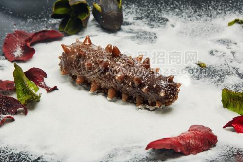 養(yǎng)參人自產(chǎn)自建 大連淡干海參 微達(dá)海參禮盒 一件代發(fā)招商