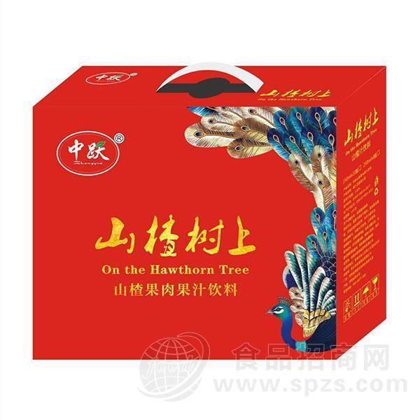 中跃山楂果肉果汁饮料