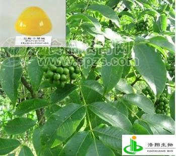 盐酸小檗碱（黄连藤）