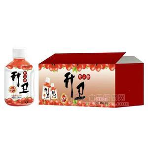 升卫野山楂 山楂味果汁饮料招商