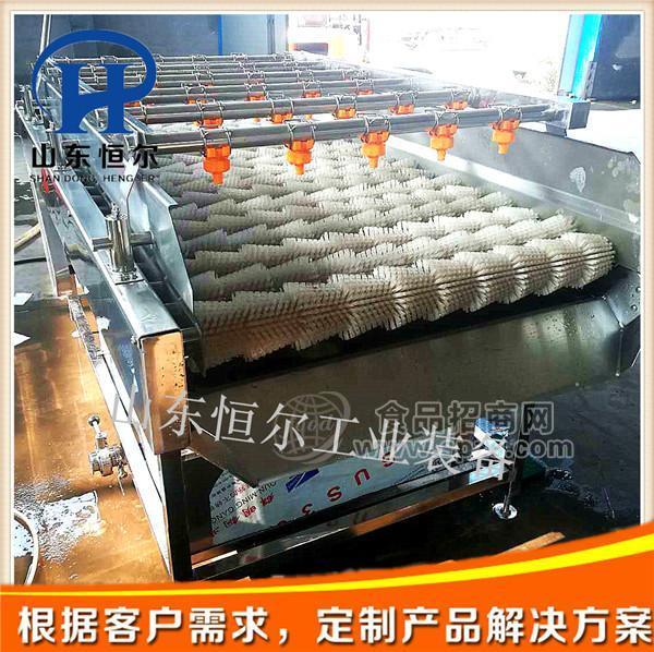 根茎类毛刷去皮清洗流水线