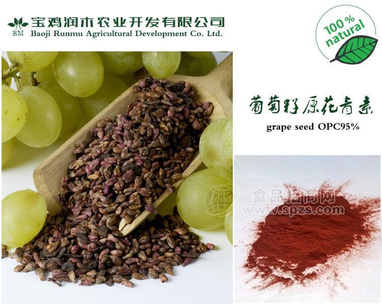 宝鸡润木常年供应   葡萄籽提取物原花青素95%     棕红色粉末