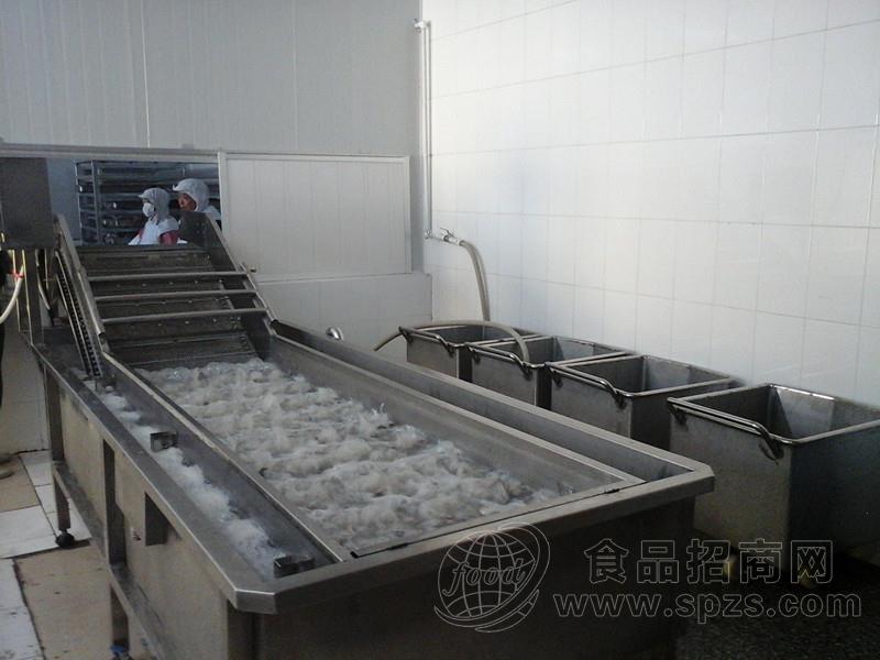 揽月多功能RG-400QP果蔬清洗机 全自动连续式蔬菜清洗设备