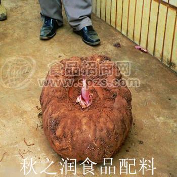 秋之潤(rùn)大量供應(yīng)食品級(jí)魔芋微粉