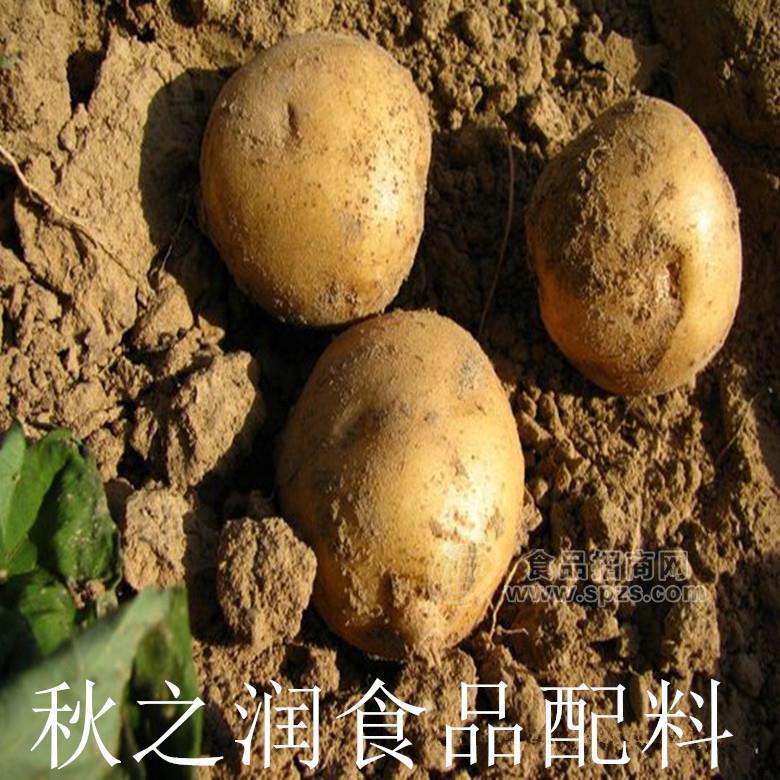 秋之润大量供应食品级增稠剂马铃薯淀粉