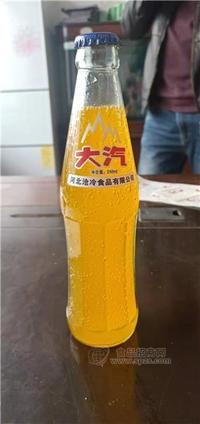 大汽 橙子汽水碳酸飲料 248ml