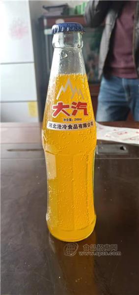 大汽 橙子汽水碳酸飲料 248ml