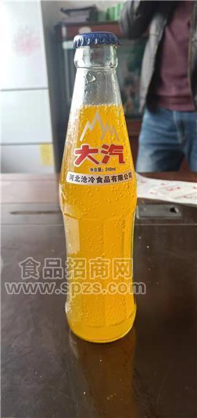 大汽 橙子汽水碳酸飲料 248ml