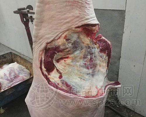 供应马肉带皮马肉熟马肉