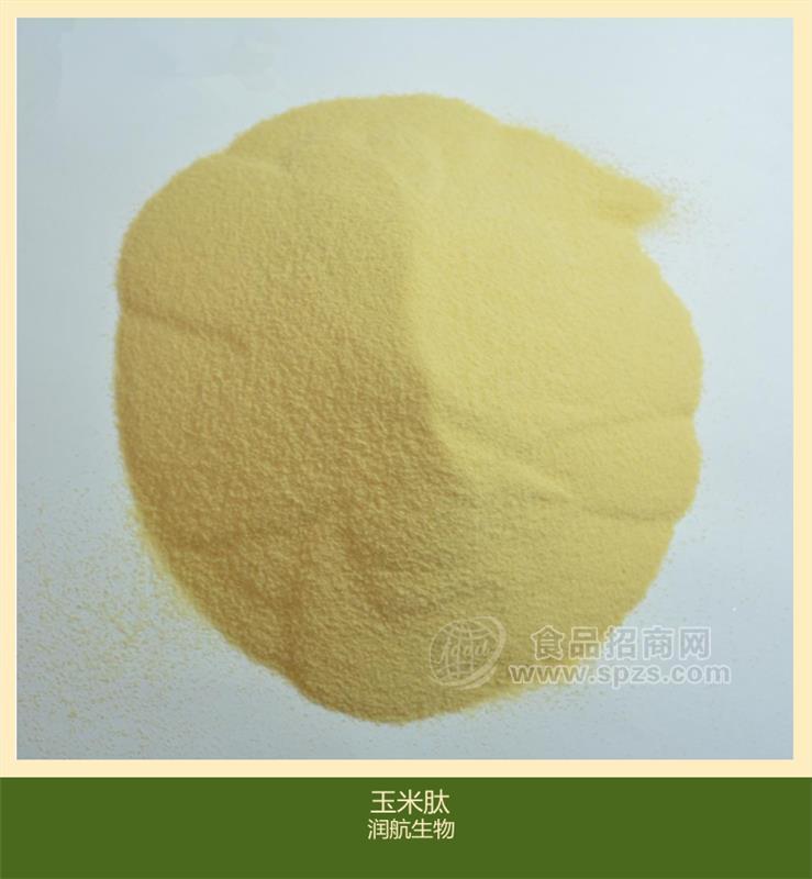 大量供应 食品级 玉米低聚肽粉 玉米肽 90% 量大从优 1kg起订