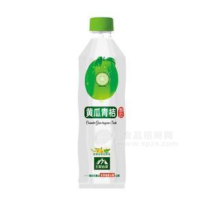 王屋岩泉黄瓜青桔果味苏打水饮料