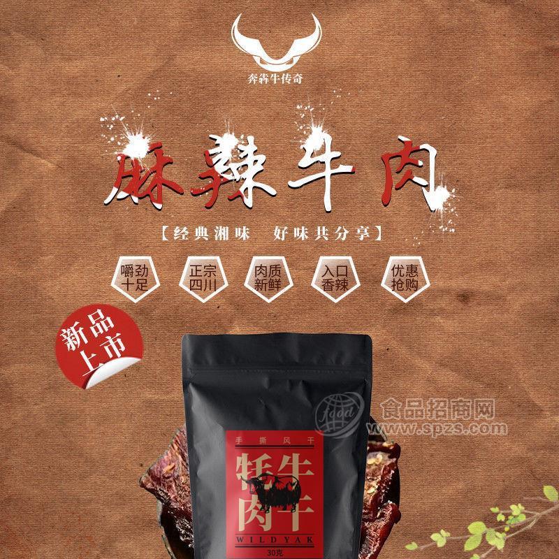 风干牛肉干