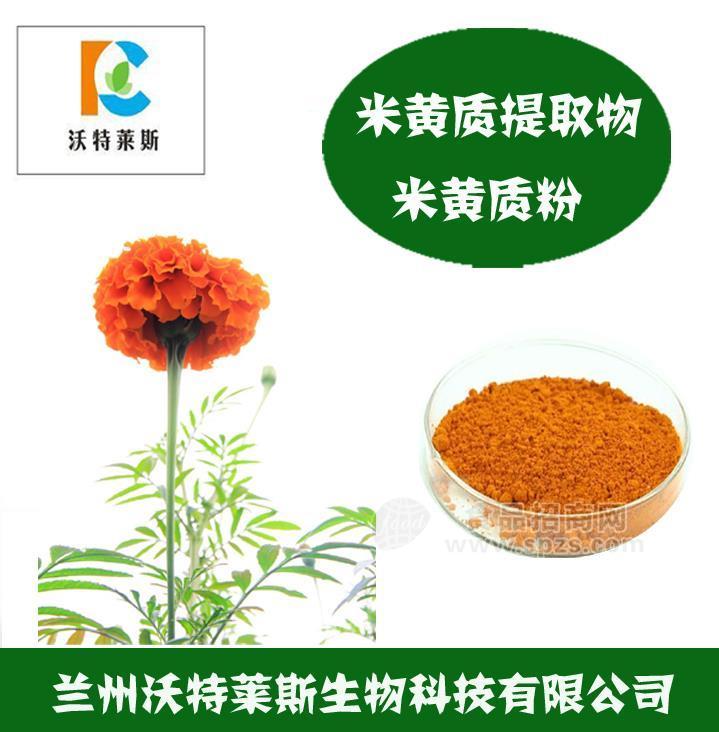 玉米黃素 黃質(zhì)10%  萬(wàn)壽菊提取物 玉米黃質(zhì) 沃特萊斯